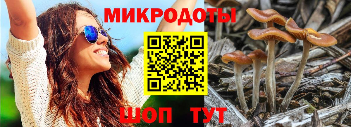 Галлюциногенные грибы MAGIC MUSHROOMS  Галлюциногенные грибы мухоморы  Вход с VPN  Заволжье 